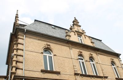 Zabytkowa willa na sprzedaż Neustadt an der Weinstraße, Nadrenia-Palatynat, RunBogenfenster mit auffälligen Verzierungen 