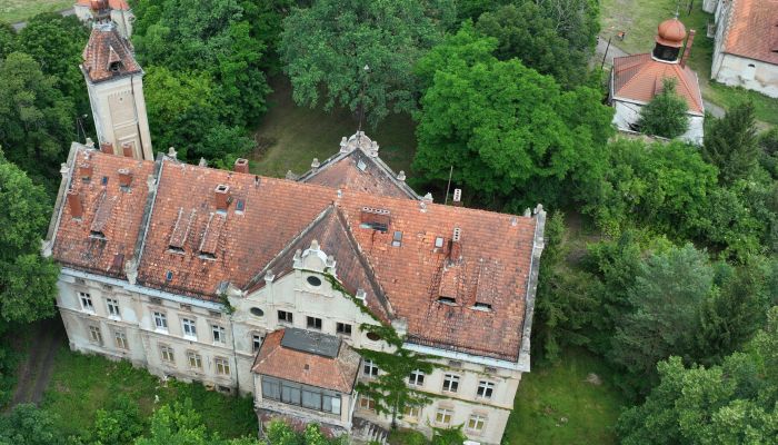 Pałac na sprzedaż Jędrzychów, Dolnośląskie,  Polska