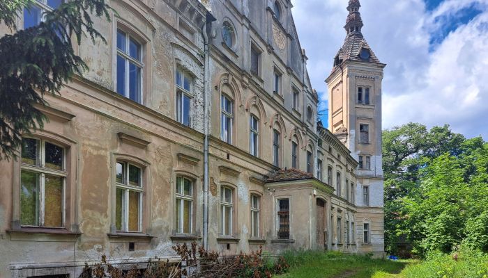 Pałac na sprzedaż Jędrzychów, Dolnośląskie,  Polska