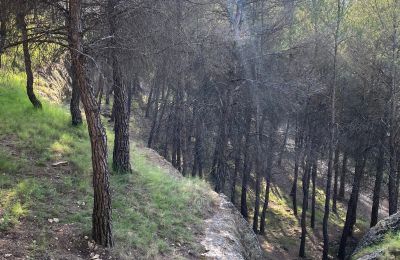 Pałac miejski na sprzedaż Chinchilla de Monte-Aragón, Calle Doctor Daudén  2, Kastylia-La Mancha, surroundings landscapes