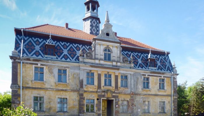 Pałac na sprzedaż Tyńczyk Legnicki, Dolnośląskie,  Polska
