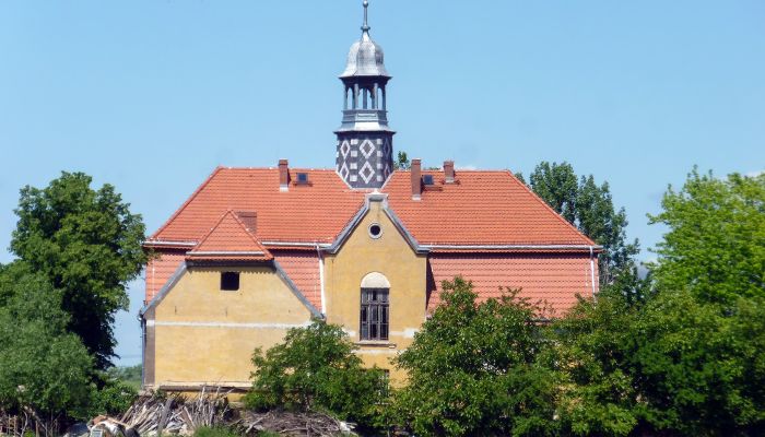 Pałac na sprzedaż Tyńczyk Legnicki, Dolnośląskie,  Polska