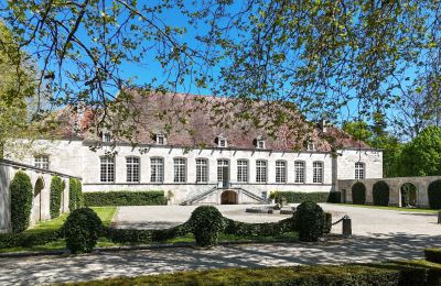 Dwór na sprzedaż Chaumont, Grand-Est, Ogród