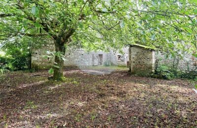 Zabytkowa nieruchomość na sprzedaż Nay, Nouvelle-Aquitaine, Ogród