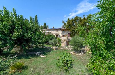 Zabytkowa nieruchomość na sprzedaż Uzès, Oksytania, Ogród