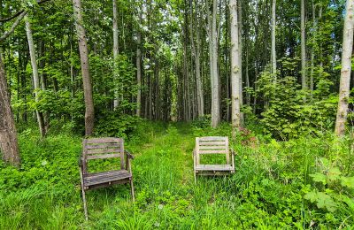 Zamek na sprzedaż 18513 Glewitz, Meklemburgia-Pomorze Przednie, Wald / Außenbereich