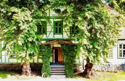 Pałac na sprzedaż Neustadt-Glewe, Meklemburgia-Pomorze Przednie, Widok z tyłu