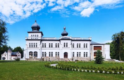 Pałac na sprzedaż Osiek, Pałac w Osieku, Małopolskie, Widok zewnętrzny