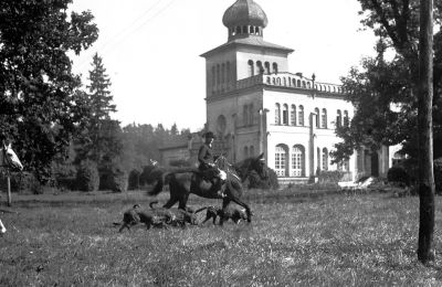Pałac na sprzedaż Osiek, Pałac w Osieku, Małopolskie, Widok historyczny