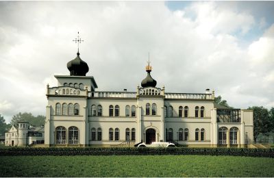 Pałac na sprzedaż Osiek, Pałac w Osieku, Małopolskie, Wizualizacja