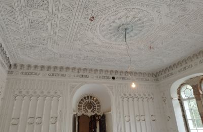Pałac na sprzedaż Osiek, Pałac w Osieku, Małopolskie, Zdjęcie 10/38
