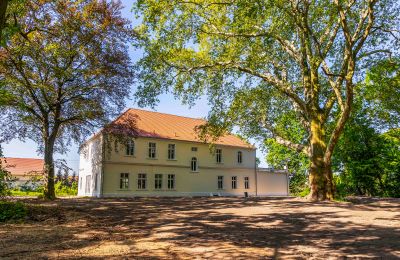Pałac na sprzedaż Środa Śląska, Pałac w Wojczycach, Dolnośląskie, Zdjęcie 4/23