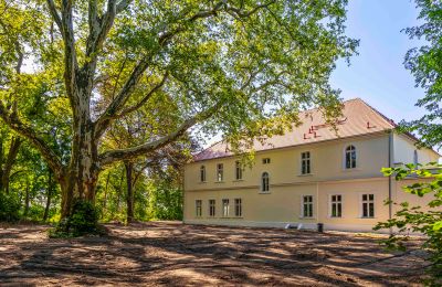 Pałac na sprzedaż Środa Śląska, Pałac w Wojczycach, Dolnośląskie, Zdjęcie 5/23