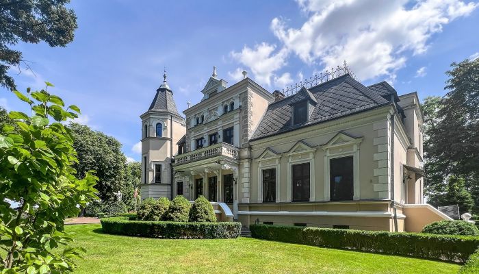 Dwór na sprzedaż Kujawsko-pomorskie