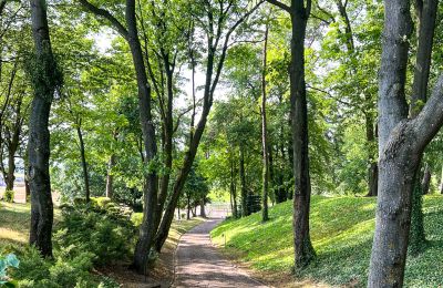 Dwór na sprzedaż Kujawsko-pomorskie, Park