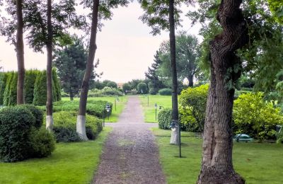 Dwór na sprzedaż Kujawsko-pomorskie, Ogród