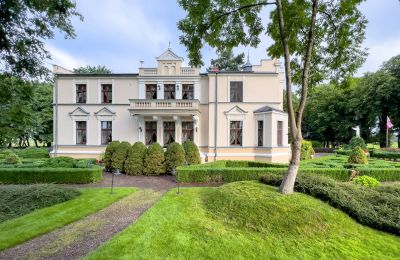 Dwór na sprzedaż Kujawsko-pomorskie, Widok z tyłu