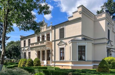 Dwór na sprzedaż Kujawsko-pomorskie, Zdjęcie 18/25