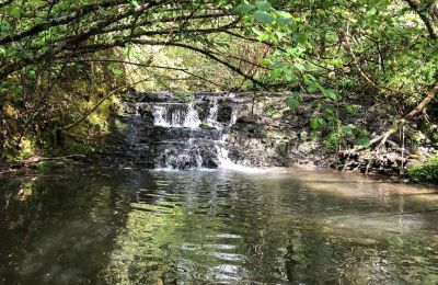 Pałac na sprzedaż Pontacq, Nouvelle-Aquitaine, Działka
