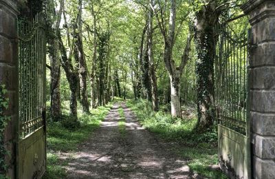 Pałac na sprzedaż Pontacq, Nouvelle-Aquitaine, Wjazd
