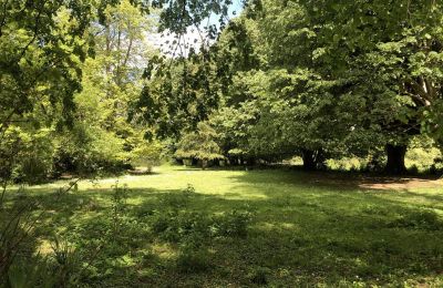 Pałac na sprzedaż Pontacq, Nouvelle-Aquitaine, Park
