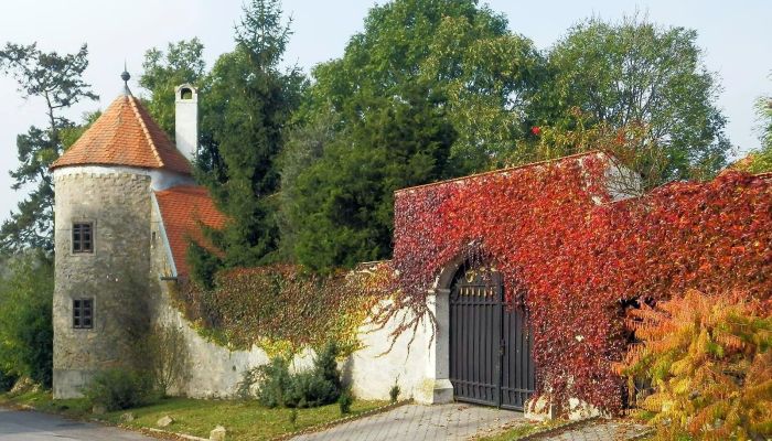 Dwór na sprzedaż Trnavský kraj, okres Hlohovec, Koplotovce,  Słowacja