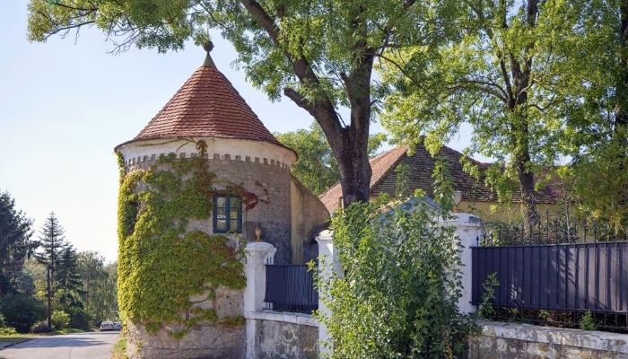 Dwór na sprzedaż Trnavský kraj, okres Hlohovec, Koplotovce,  Słowacja