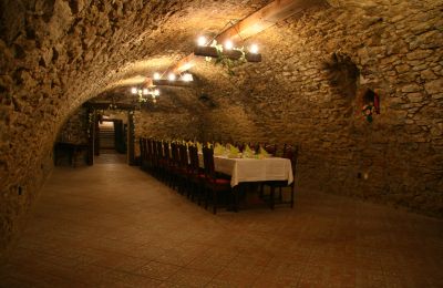 Dwór na sprzedaż Koplotovce,  kaštieľ, Kraj trnawski, Pivnica