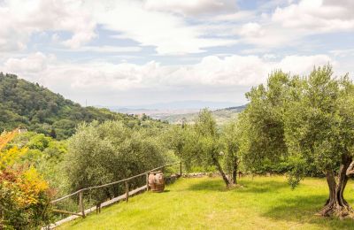 Zabytkowa willa na sprzedaż Villamagna, Toskania, Zdjęcie 48/50