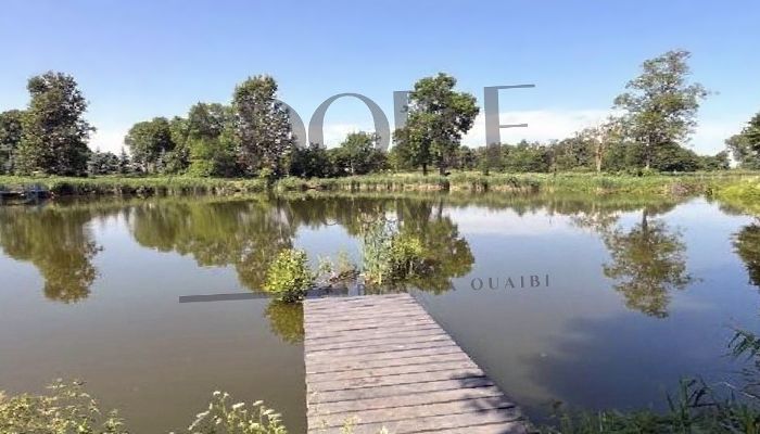 Dwór na sprzedaż Mińsk Mazowiecki, Mazowieckie,  Polska