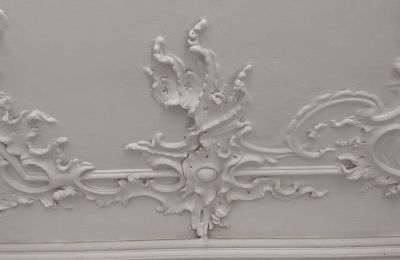 Pałac na sprzedaż Badenia-Wirtembergia, Zdjęcie 34/37