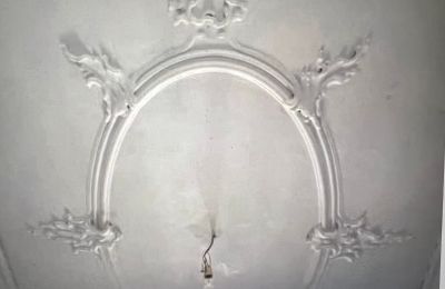 Pałac na sprzedaż Badenia-Wirtembergia, Zdjęcie 33/37