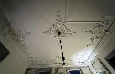 Pałac na sprzedaż Badenia-Wirtembergia, Zdjęcie 32/37