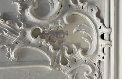 Pałac na sprzedaż Badenia-Wirtembergia, Zdjęcie 31/37