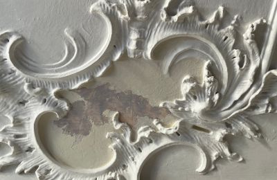 Pałac na sprzedaż Badenia-Wirtembergia, Zdjęcie 30/37