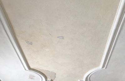 Pałac na sprzedaż Badenia-Wirtembergia, Zdjęcie 19/26