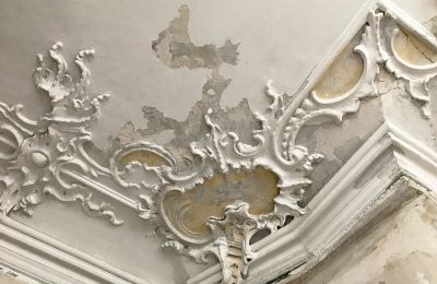 Pałac na sprzedaż Badenia-Wirtembergia, Zdjęcie 3/26