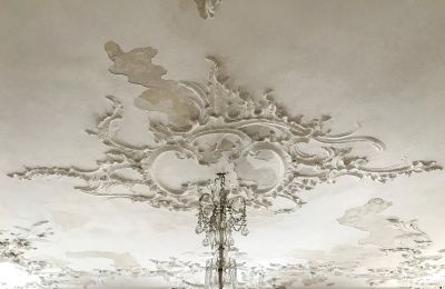Pałac na sprzedaż Badenia-Wirtembergia, Zdjęcie 5/26