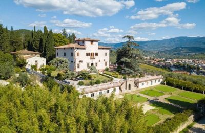 Dwór na sprzedaż Firenze, Toskania, Widok ogólny