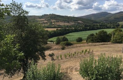 Zabytkowa willa na sprzedaż 06019 Umbertide, Umbria, Zdjęcie 21/22