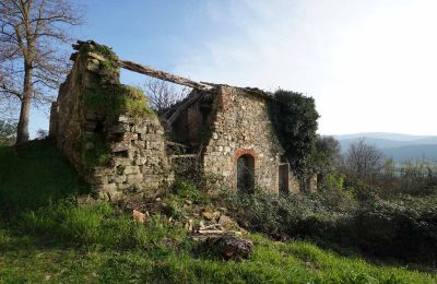 Wiejski dom na sprzedaż Perugia, Umbria, Zdjęcie 12/15