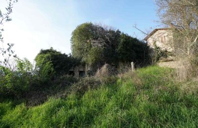 Wiejski dom na sprzedaż Perugia, Umbria, Zdjęcie 13/15