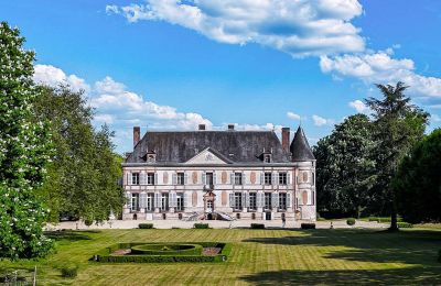 Pałac na sprzedaż Sens, Bourgogne-Franche-Comté, Widok z tyłu