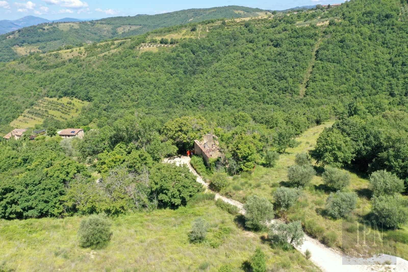 Zdjęcia Fratticciola Project