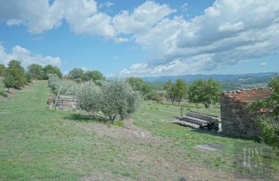 Zabytkowa willa na sprzedaż Monterchi, Toskania, Zdjęcie 22/24