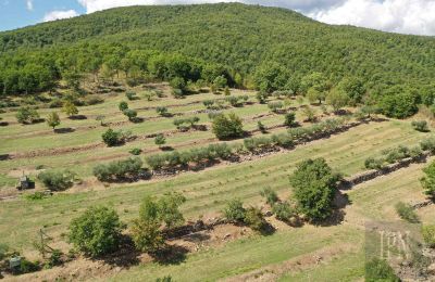 Zabytkowa willa na sprzedaż Monterchi, Toskania, Zdjęcie 24/24