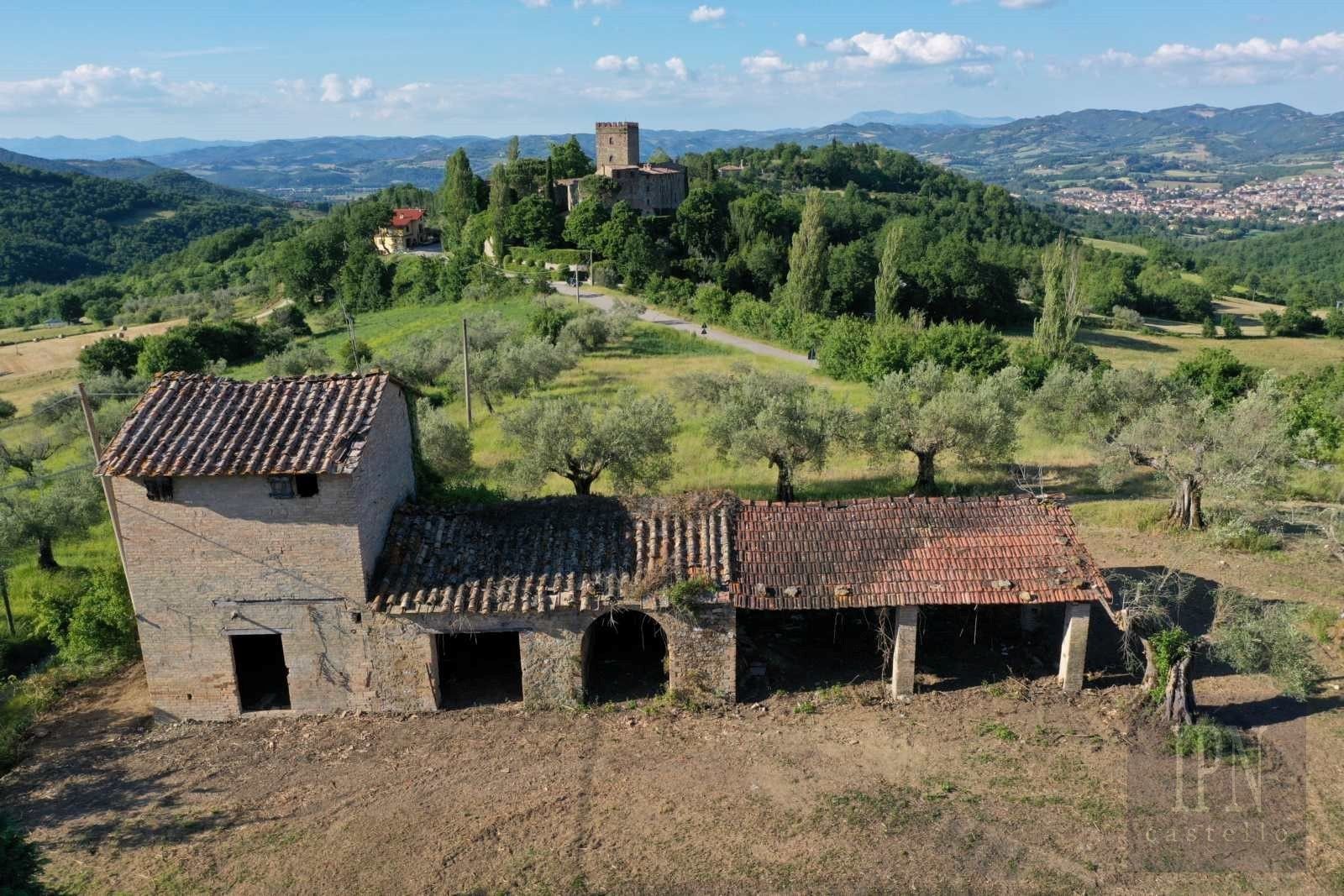 Zdjęcia Polgeto Olive Barn Project