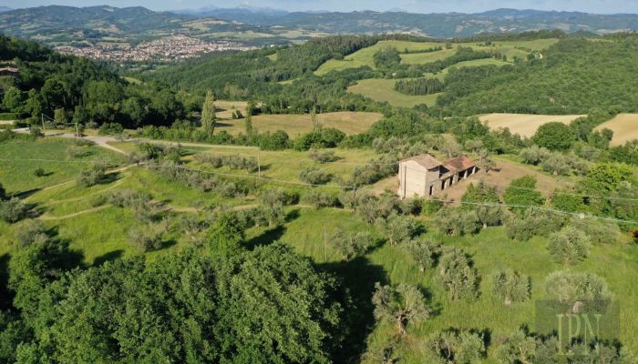  Umbertide 3