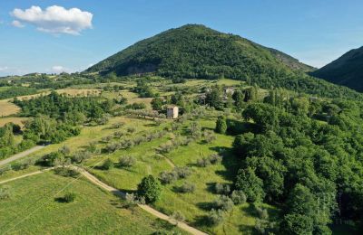 Wiejski dom na sprzedaż 06019 Umbertide, Umbria, Zdjęcie 4/14