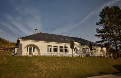 Dwór na sprzedaż Trenčiansky kraj, okres Trenčín, Melčice - Lieskové, Melčice, Kraj trenczyński, Zdjęcie 26/27